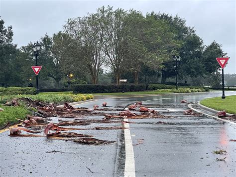 Storm Damage Restoration The Villages, Florida .